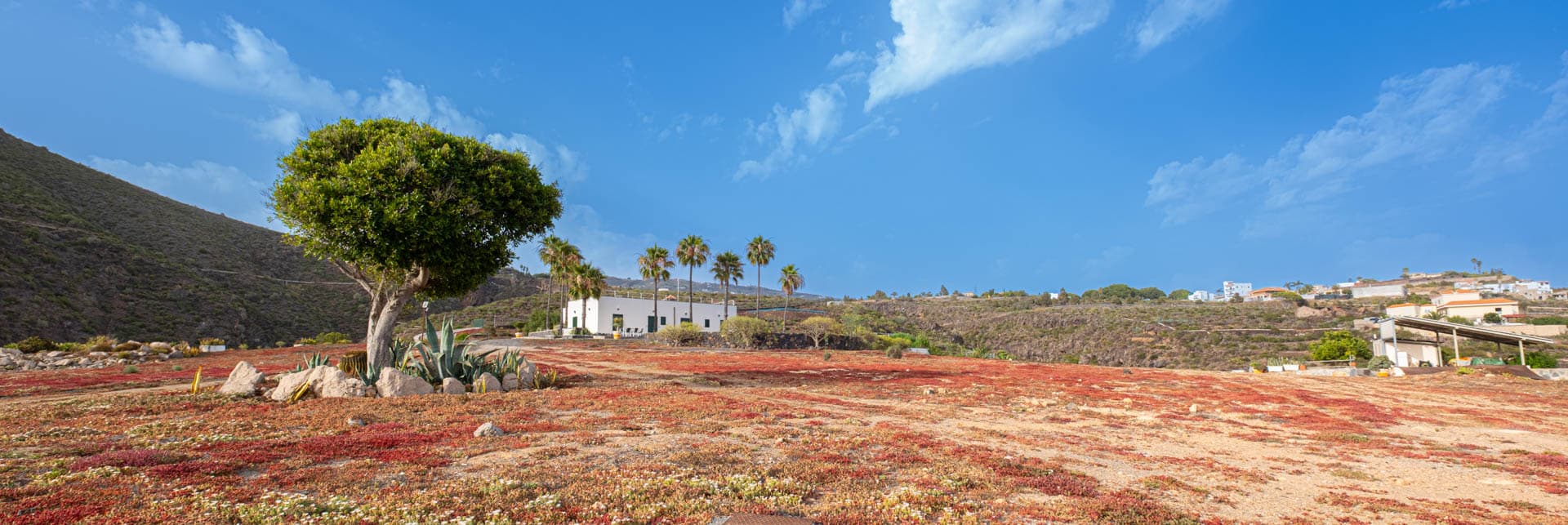 Interior de La Cochinera con muros de piedra en Finca Anconito