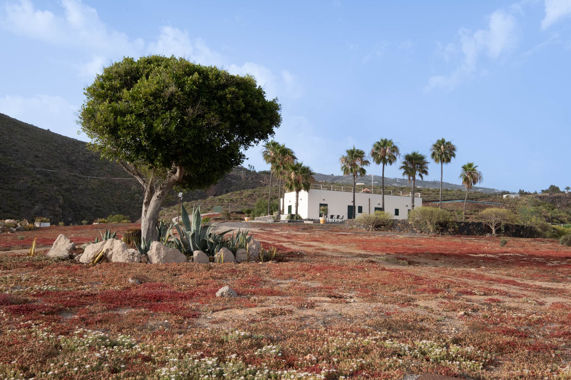 Vista del salón privado de La Cochinera en Finca Anconito